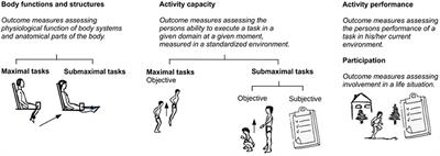 Systematic Review of Fatigue in Individuals With Cerebral Palsy